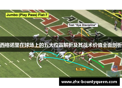 西格诺里在球场上的五大位置解析及其战术价值全面剖析 西格诺里在球场上的五大位置解析及其战术价值全面剖析